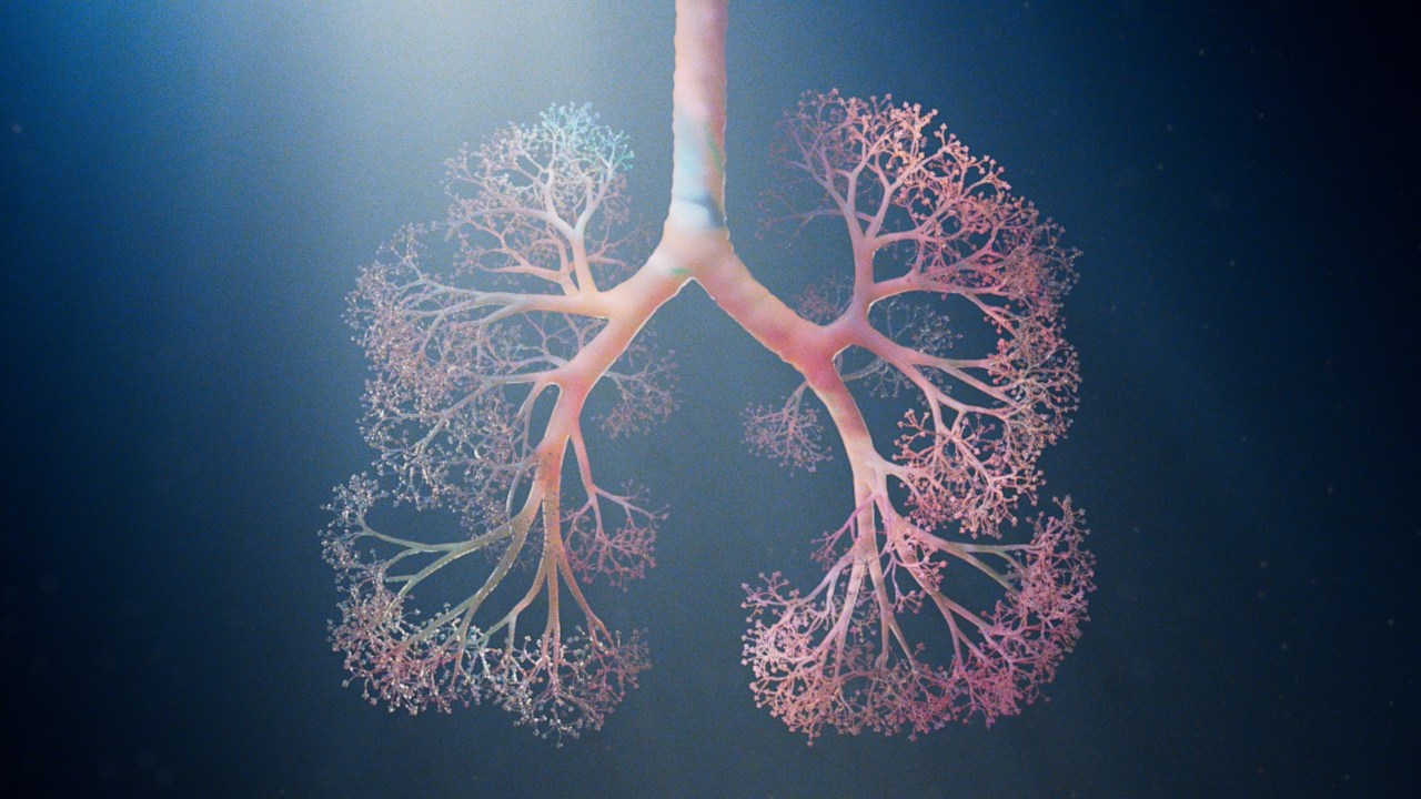lungWide_v003c-1
